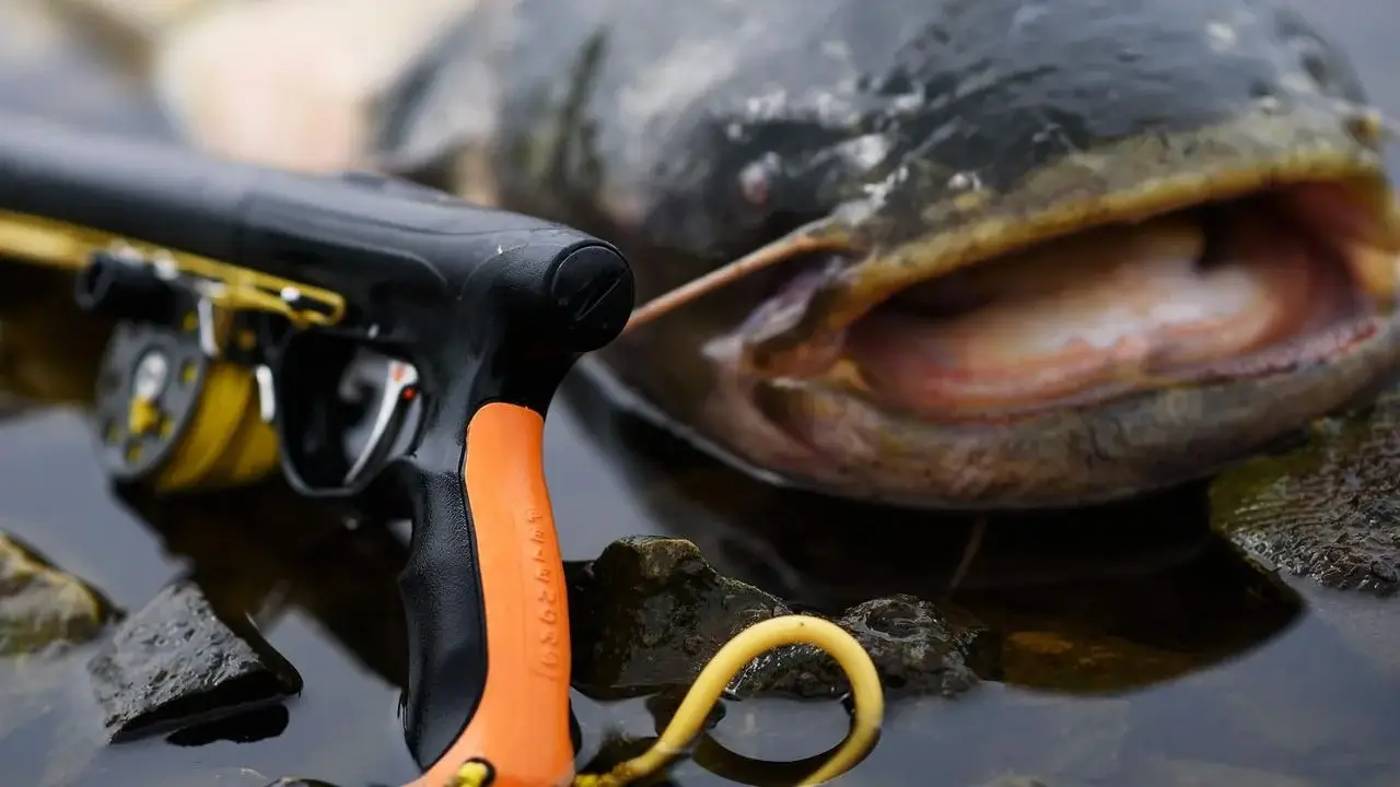 Premium Spearfishing and Freediving Gear