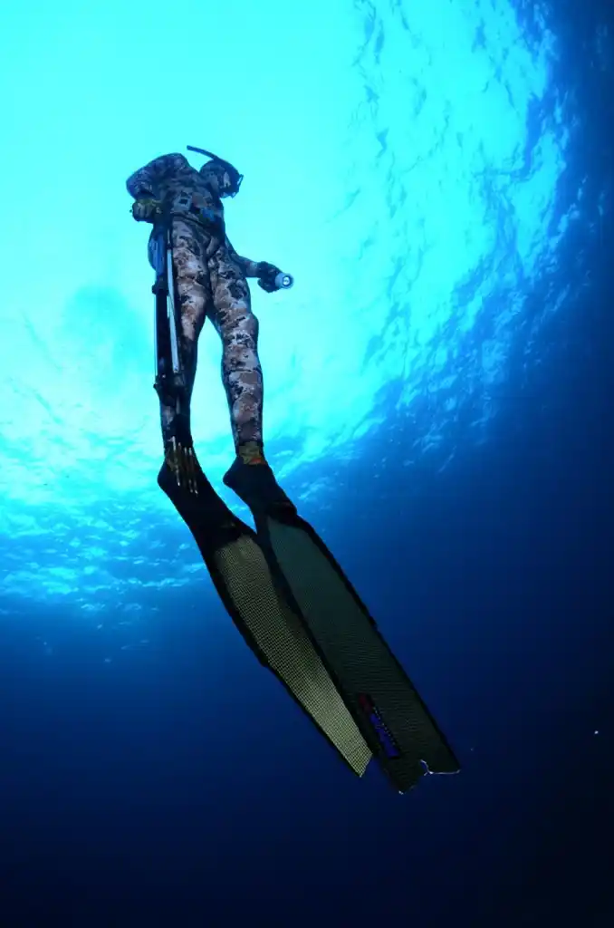 Divein Spaccato Brown Wetsuit