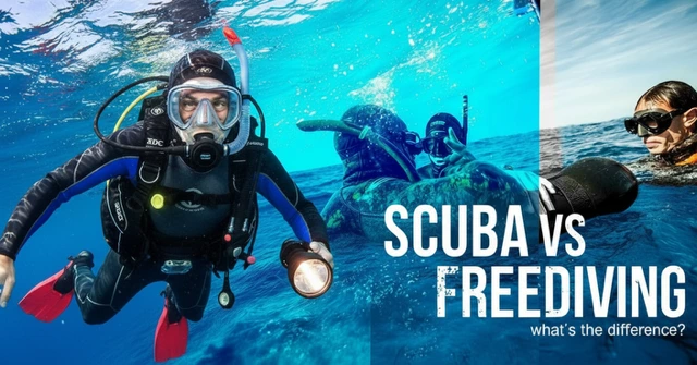 Scuba vs Freediving equipment